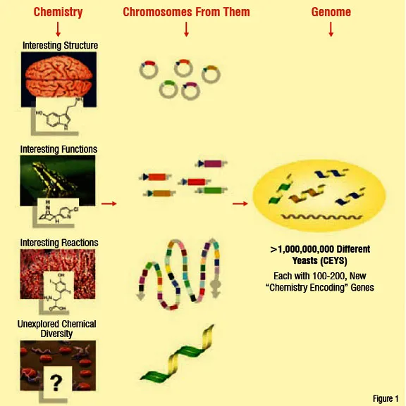 genetic chemistry